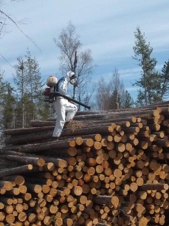 Обработка лесоматериалов для защиты от вредителей