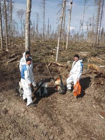 Спецотряд химзащиты от вредителей леса и лесоматериалов